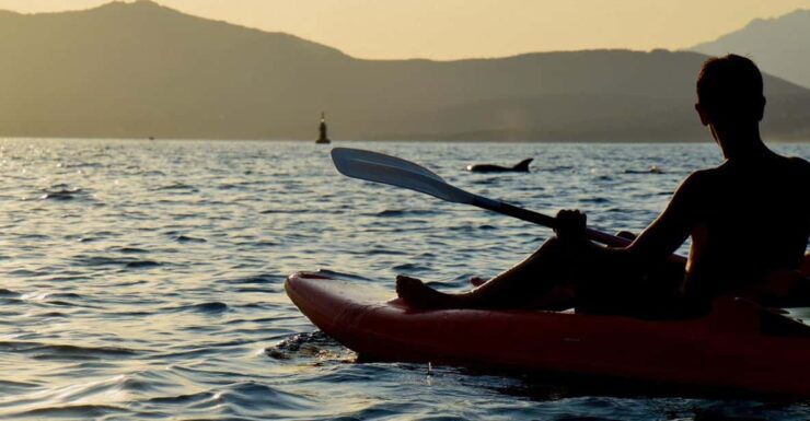 Golfo Aranci: Sunset Dolphin Kayak Tour With Aperitif - Kayaking the Stunning Sardinian Coastline