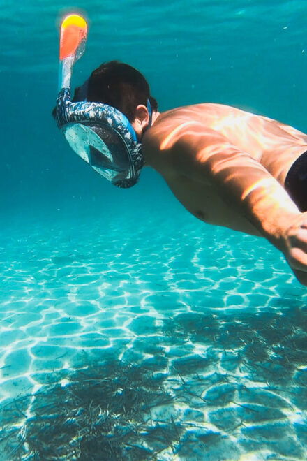Golfo Aranci: Sunset Dolphin Kayak Tour With Aperitif - Discovering the Underwater Marine Life