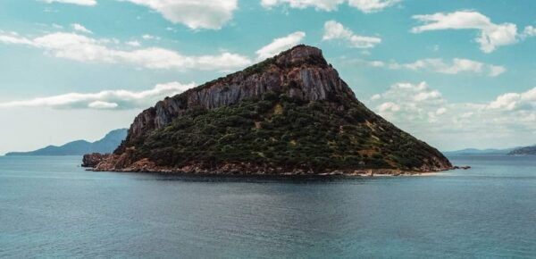 Golfo Aranci: Sunset Dolphin Kayak Tour With Aperitif - Included Equipment and Support Services