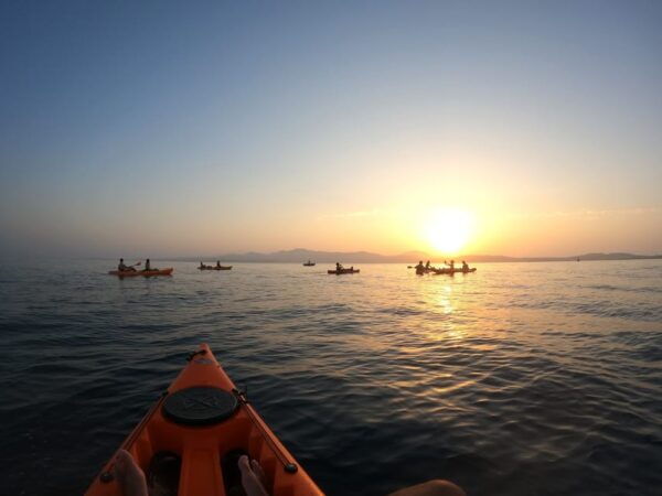 Golfo Aranci: Sunset Dolphin Kayak Tour With Aperitif - Frequently Asked Questions