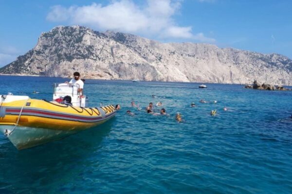Golfo Aranci: Tavolara and Molara Snorkeling Dinghy Tour - Frequently Asked Questions