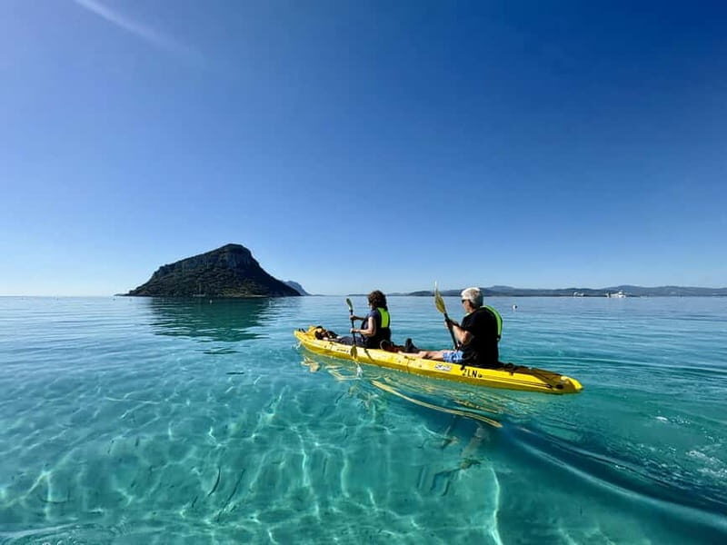 Golfo Aranci:Small group, german guided Kayak tour&Dolphins - Introduction: Why This Kayak Tour Could Be Your Sardinian Highlight