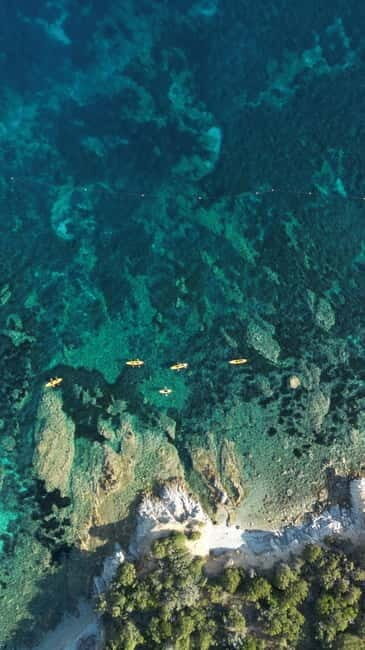 Golfo Aranci:Small group, german guided Kayak tour&Dolphins - Who Would Love This Experience?