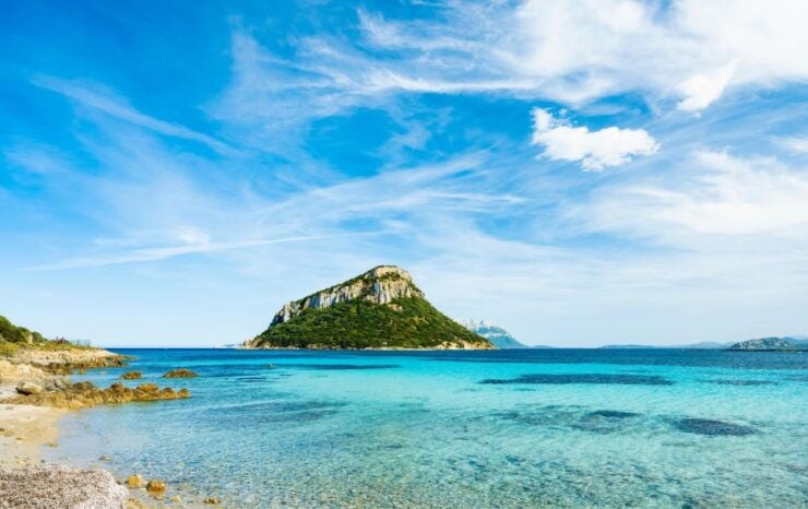 Golphin Bay: Rubber Boat Tour With Marine Biologist - Description