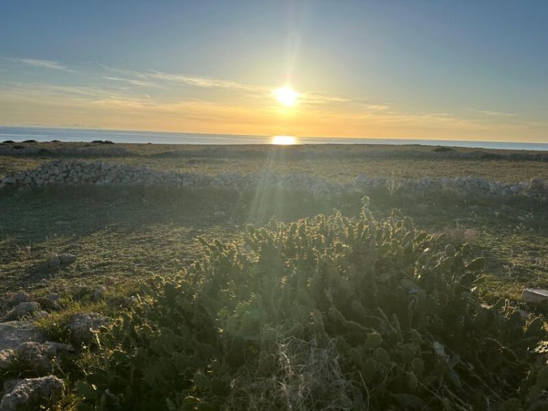 Good night Menorca: sunset with aperitif - Who Should Consider This Tour?