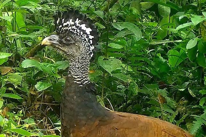 Good View Combo: Day Pass Including Lunch - Ideal Participants