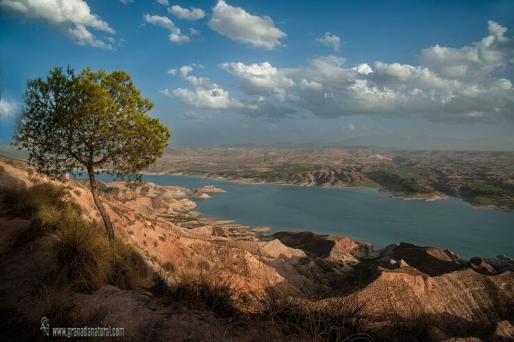 Gorafe: The Coloraos Desert 4x4 Tour - Off-Road Exploration and Distance Covered