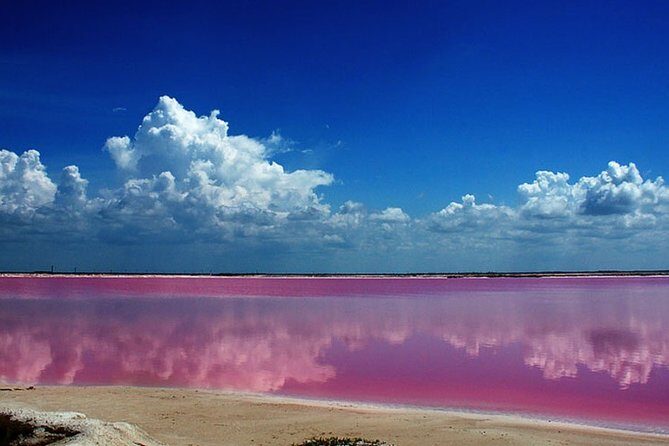 Gorgeous Natural Pink Lake, Las Coloradas Tour! From Cancun & Riviera Maya - FAQ