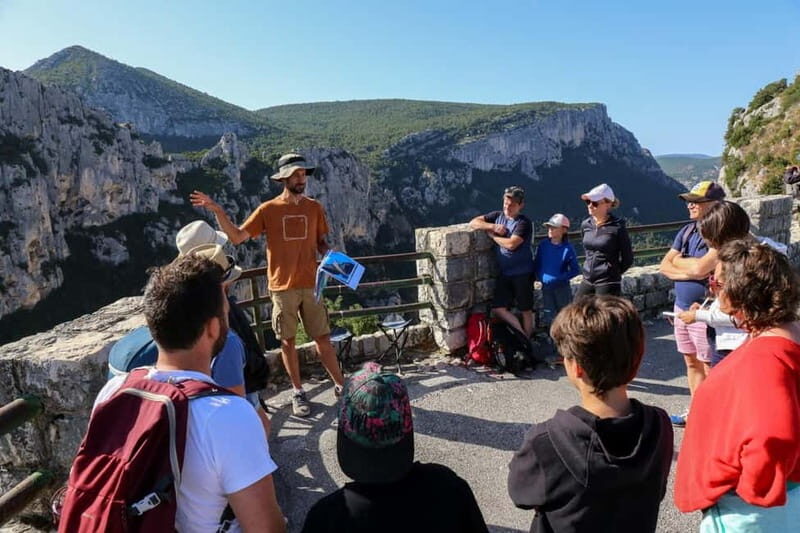 Gorges du Verdon: Watching vultures - An In-Depth Look at the Vulture Watching Tour