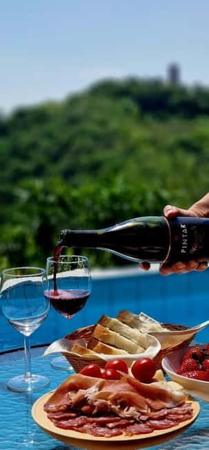 Gorika Brda: Wine Tasting with Local Snacks - A Taste of Brda in Your Own Time and Space