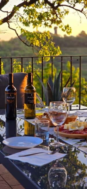 Gorika Brda: Wine Tasting with Local Snacks - Who Is This Tour Best For?