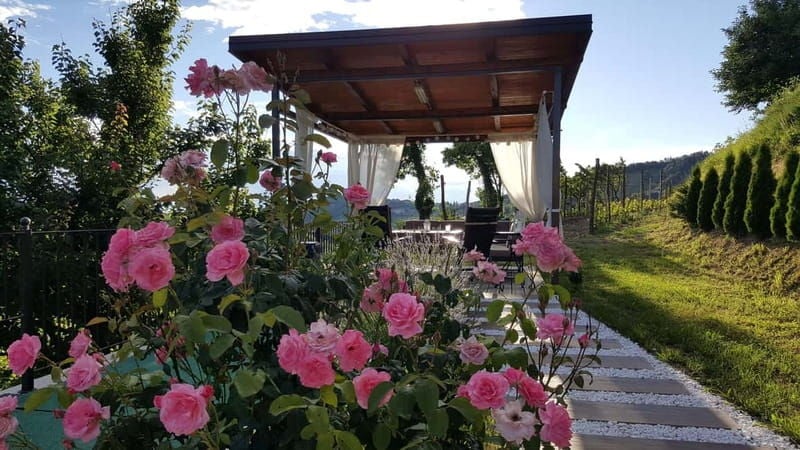 Gorika Brda: Wine Tasting with Local Snacks - Is This Tour Right for You?