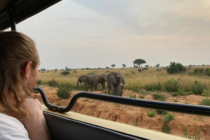 Gorilla & Chimpanzee Trekking in Uganda - 5 Days - Accommodation Details