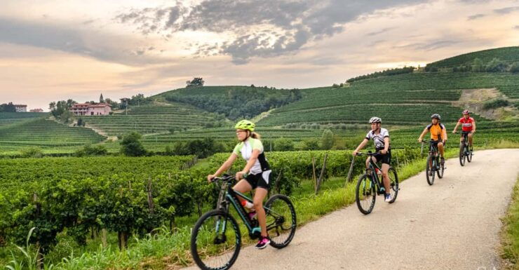 Goriška Brda: E-Bike Tour With Local Guide - Good To Know