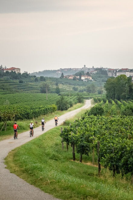 Goriška Brda: E-Bike Tour With Local Guide - Preparation Recommendations