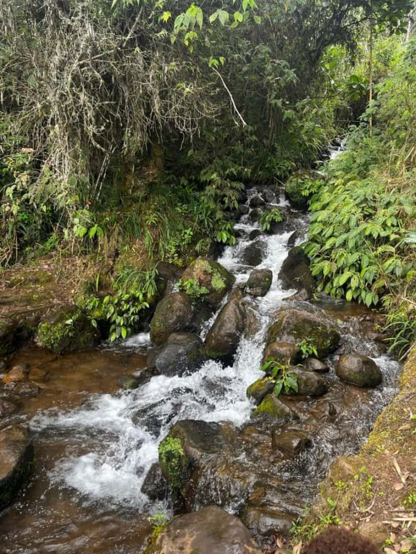 Goroka: Kameufa village tour with traditional dance - Authenticity, Value, and Who It’s For