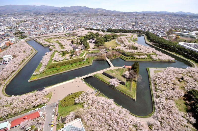 Goryokaku Tower Ticket in Hokkaido - What to know before you go