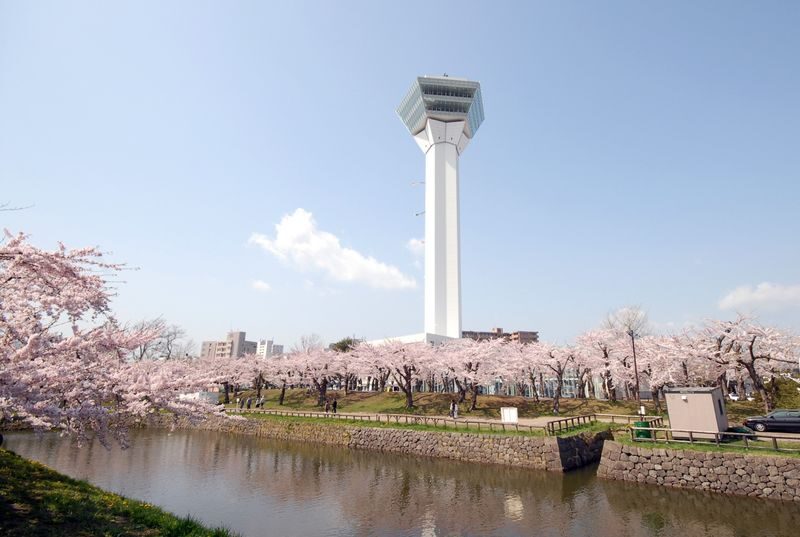 Goryokaku Tower Ticket in Hokkaido - Pair the tower with Goryokaku Park