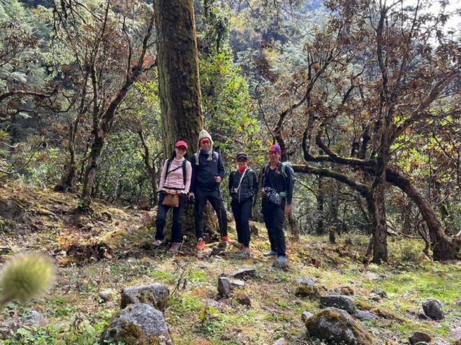 Gosaikunda Trek 7 Day: A Journey to the Sacred Alpine Lakes - Essential Participant Information