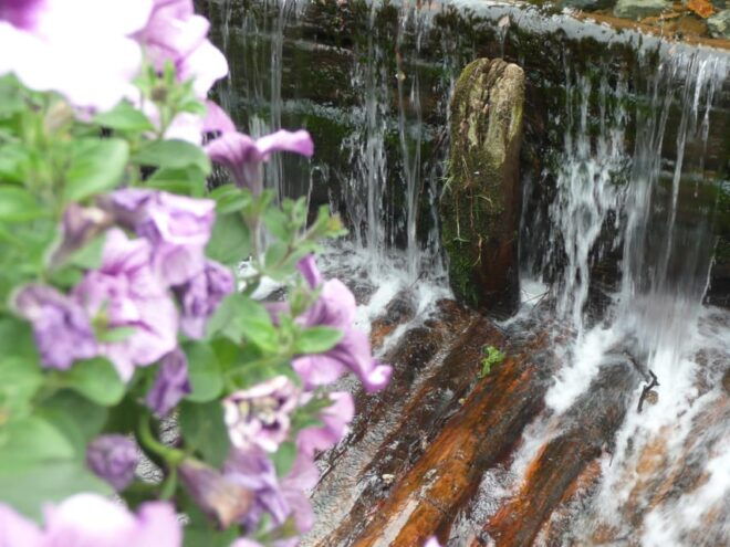 Goslar: Of Water and Ore - Goslar in the River - Practical Information