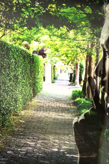Gossip & Grandeur: A Stroll Through NOLAs Garden District - Architectural Gems and Celebrities Homes