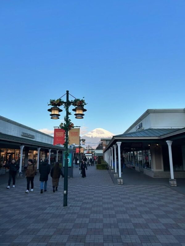 Gotemba Outlets & Hakone Private Customizable Full-Day Tour - Who should consider this outing?