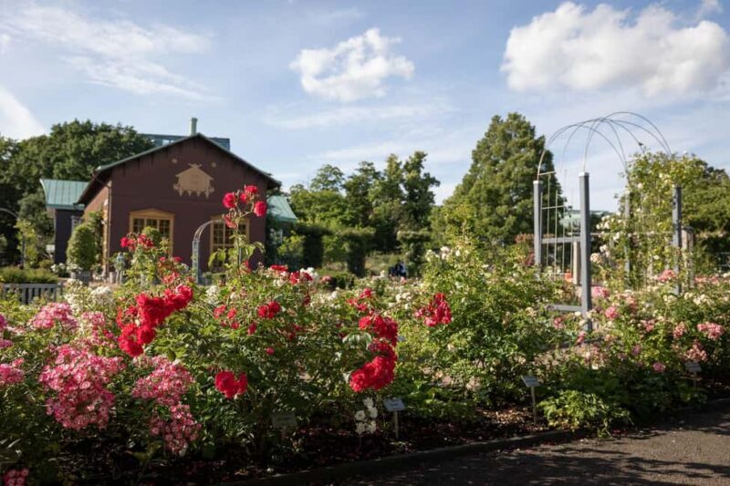 Gothenburg: Guided Walking Tour of the Main Landmarks - Practical Details and Value