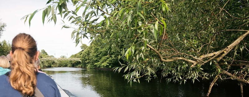 Gothenburg: Paddan Sightseeing Cruise on the River Säveån - A detailed look at the Paddan sightseeing cruise