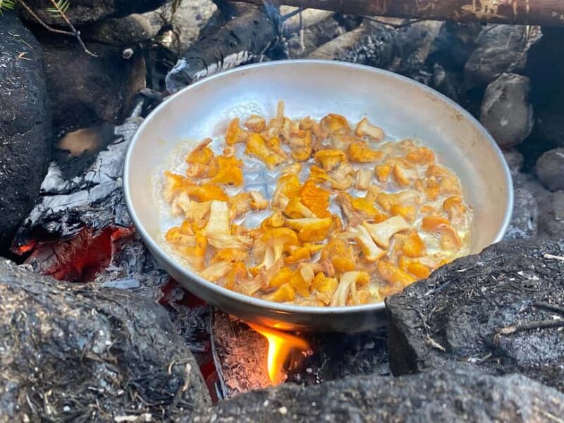 Gothenburg: The Local Experience - Home Visit, Food & Forest - FAQ