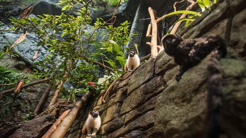 Gothenburg: Universeum Entry Ticket - What Makes Universeum Stand Out?