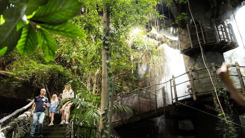 Gothenburg: Universeum Entry Ticket - Accessibility and Practicalities