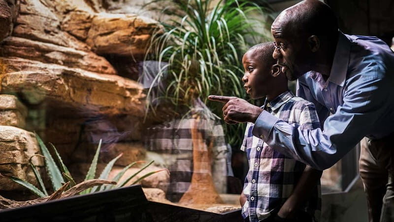 Gothenburg: Universeum Entry Ticket - The Sum Up