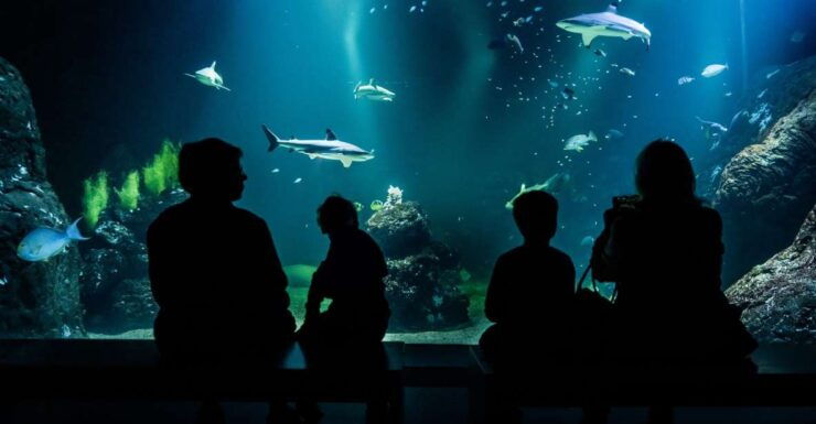 Gothenburg: Universeum Entry Ticket - Ticket Details
