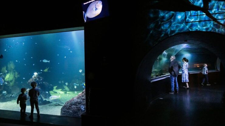Gothenburg: Universeum Entry Ticket - Experience Highlights