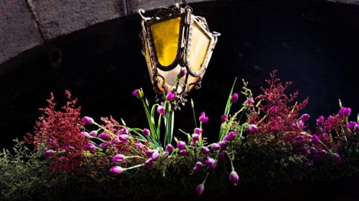 Gothic Quarter and Born District: Photographic Workshop - Experience and Highlights