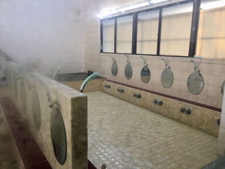 Gotokuji: Walking Tour in Lucky Cat Temple & Old District - Local Stores and Hidden Gems