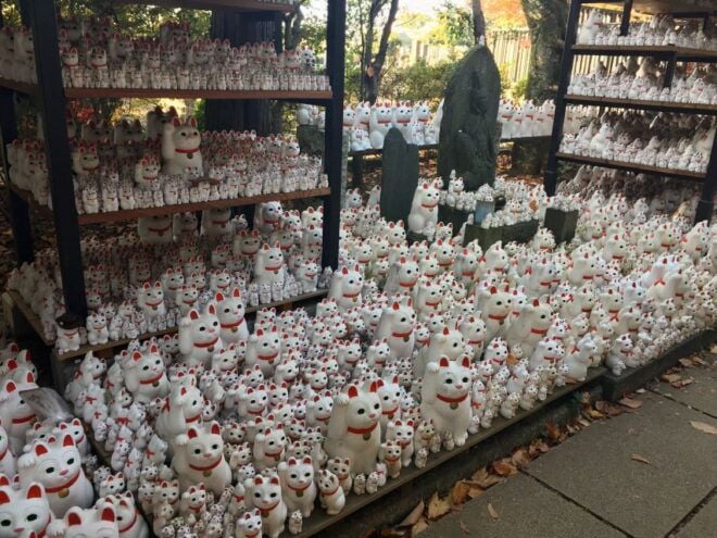 Gotokuji: Walking Tour in Lucky Cat Temple & Old District - Admiring the Traditional Spots