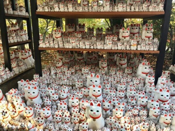 Gotokuji: Walking Tour in Lucky Cat Temple & Old District - Discovering the Ancient Shrine