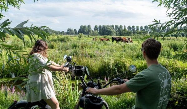 Gouda: Wonderful 3 Hours E-Chopper Tour (Self-Guided) - Traveler Reviews and Ratings