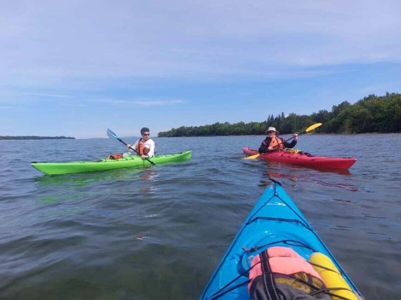 Goulais River: Maple Island Traders Guided Kayak Tour - What to Expect During the Tour
