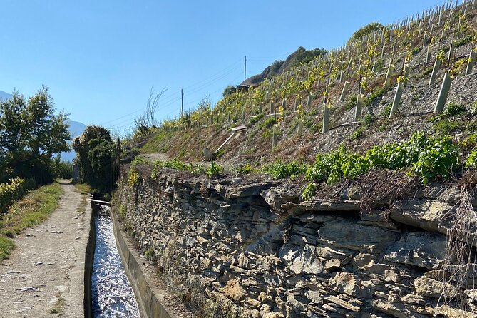 Gourmande Wine and Dine Walking Tour in Valais - Inclusions