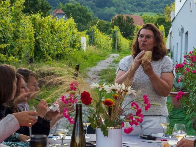 Gourmet Aperitif at the Independent Winegrower - Wine Tasting Experience Highlights