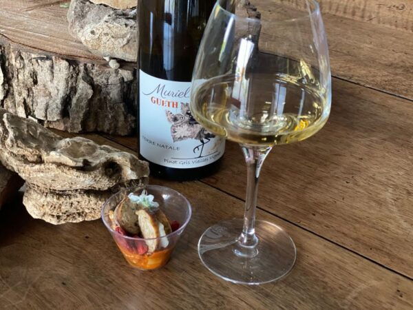 Gourmet Aperitif at the Independent Winegrower - Directions and Important Reminders