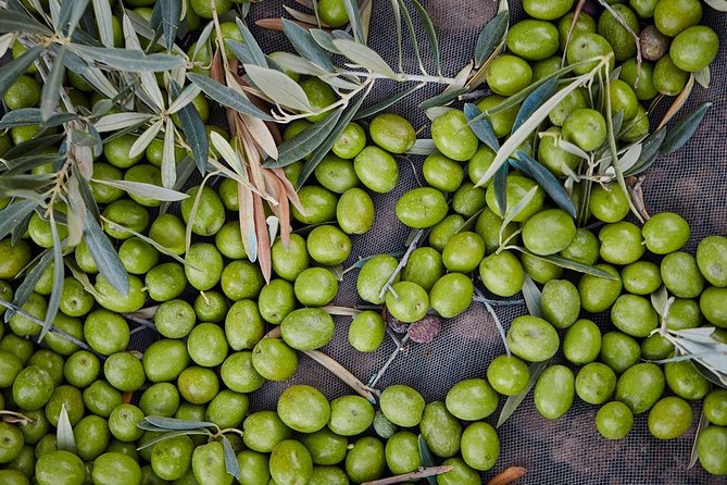 Gourmet Cooking Class & Culture in the Rural Montes De Malaga. - Cancellation Policy and Pricing