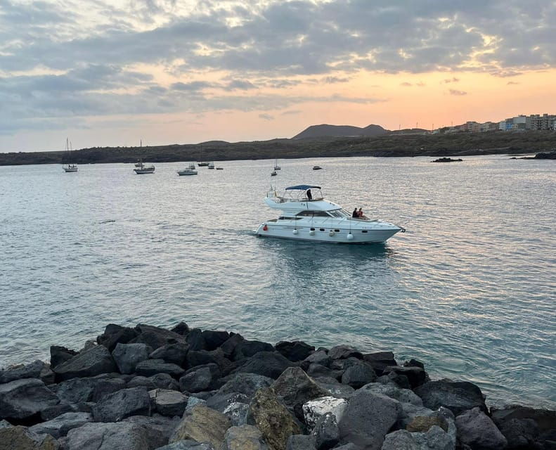 Gourmet Cruise at Sunset With Whale Watching - Itinerary Highlights