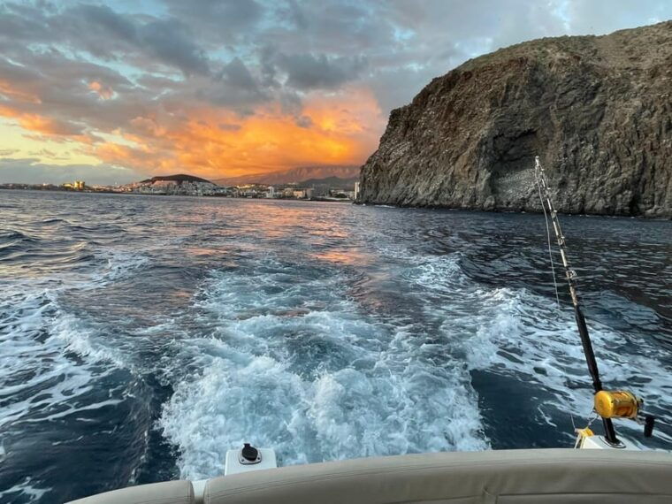 Gourmet Cruise at Sunset With Whale Watching - Culinary Experience