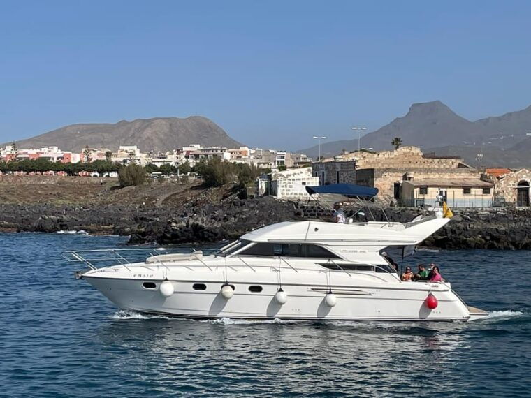 Gourmet Cruise at Sunset With Whale Watching - Scenic and Wildlife Features