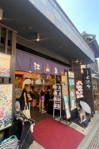 Gourmet Food and Temple Visit Tour in Enoshima - Visitor Tips for Enoshima