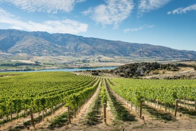 Gourmet Food and Wine Tour With Lunch and Wine Tastings - Participant Details