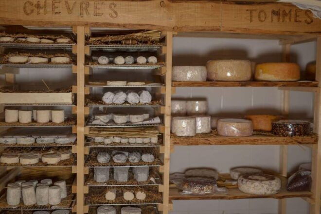 Gourmet Food Tour on Saint-Louis Island - Group Size and Guide